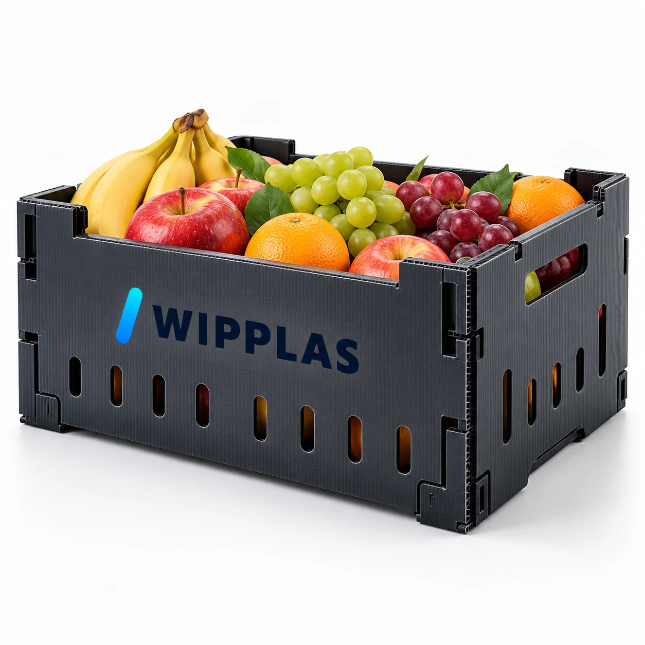 WIPPLAS Obstkisten aus Polypropylen für sicheren Fruchttransport