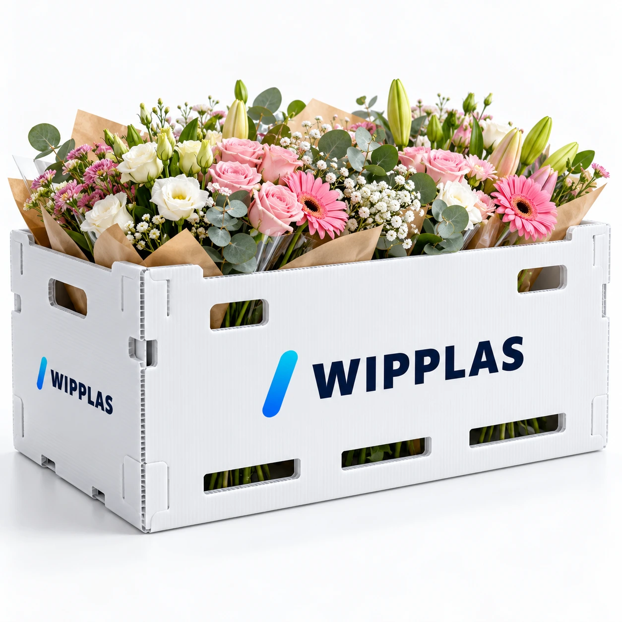WIPPLAS Blumenboxen aus Polypropylen für Floristik und Blumentransport
